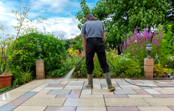 Best Sidewalk and Walkway Cleaning  in Salem, SD